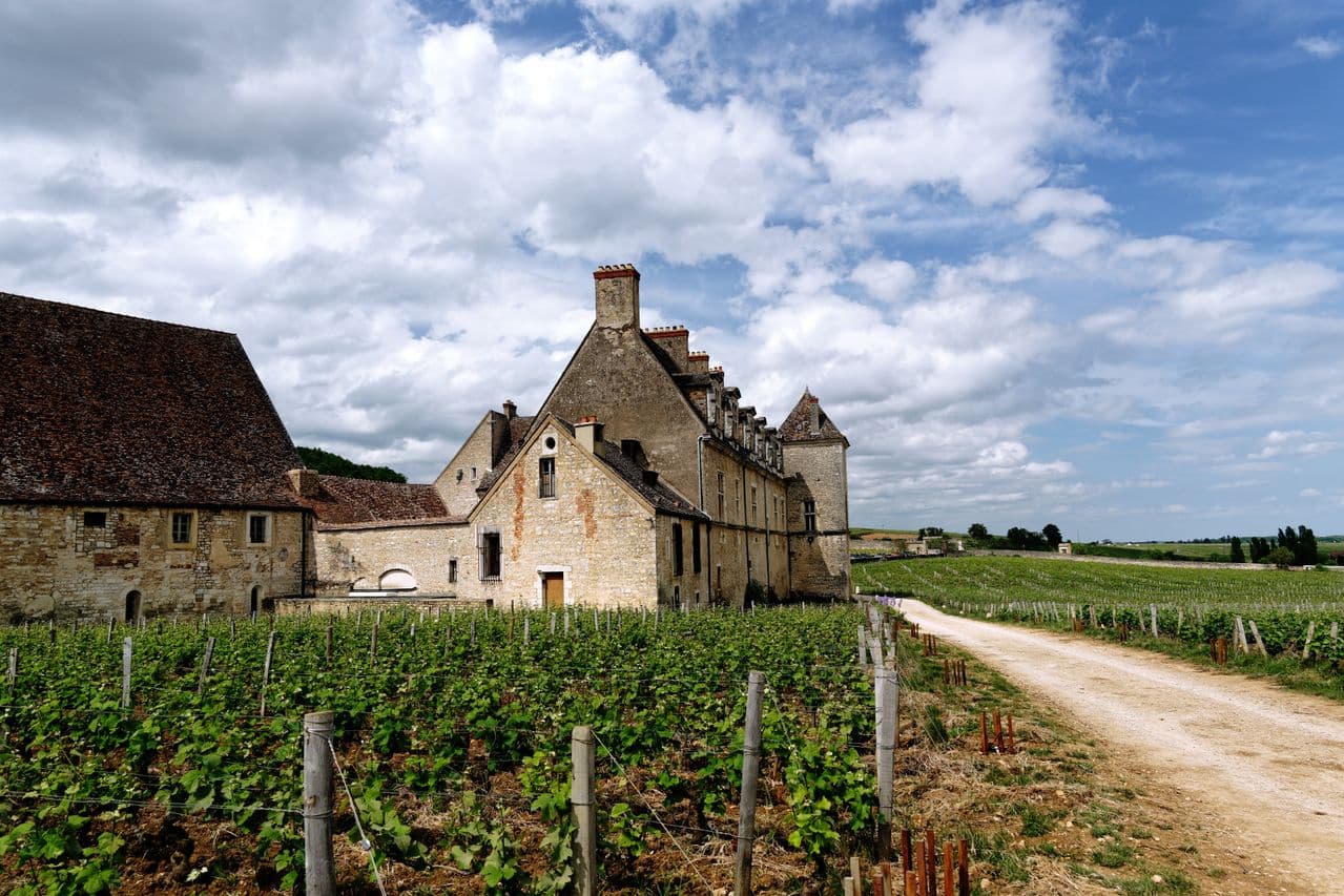 Route des Grands Crus di Borgogna