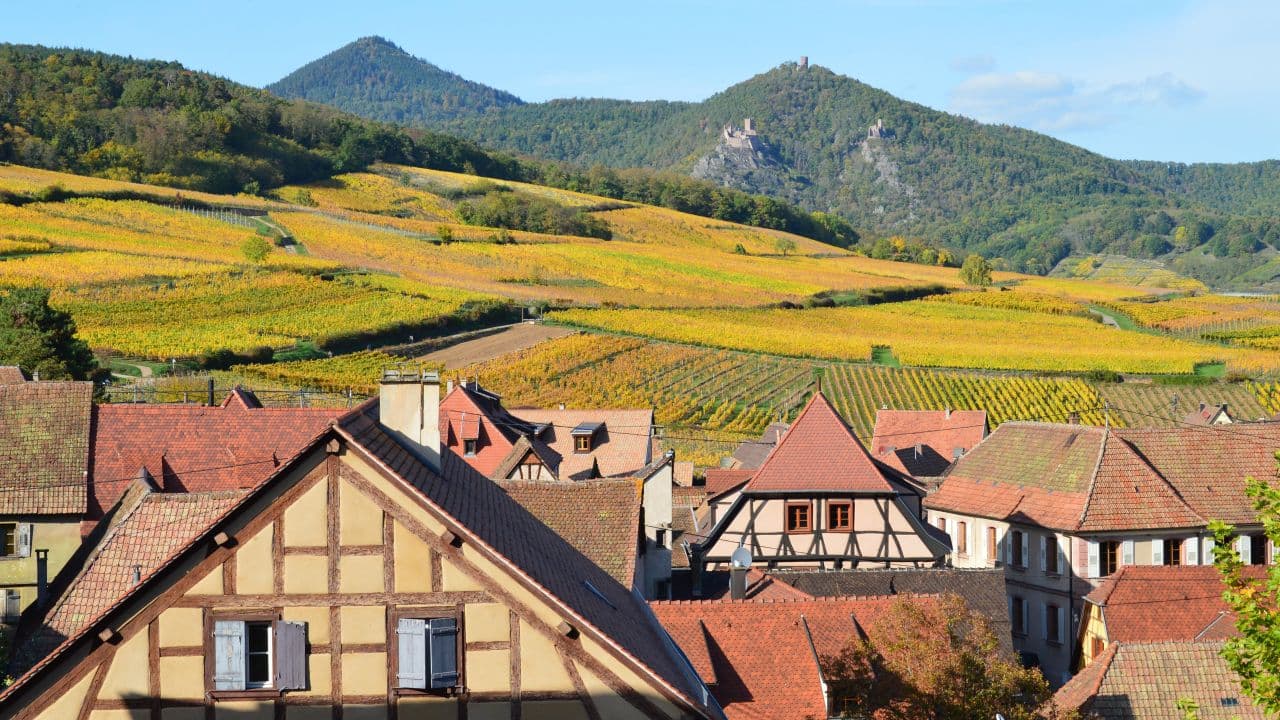 Bergheim